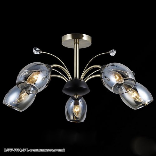 Светильник потолочный IL9737-5CSQ-29 BK AB