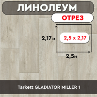 ,линолеум Tarkett GLADIATOR MILLER 1 ОТРЕЗ 2,5м*2,17м
