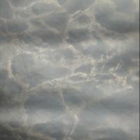 Ковролин Витебские ковры 2369 a1р/103 2 м