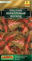 Колеус блюме Коралловый восход Ц П (Аэлита)