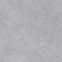 ,Керамогранит EVOLUTION GFU04EVL07R 600*600