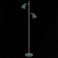 Торшер 03069-0.6-01A GN