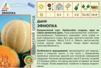 ,Дыня Эфиопка 10 шт США (АТФ Агрос)