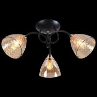 Люстра потолочная 01273-0.3-03 BK+FGD