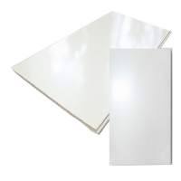 Панель ПВХ БЕЛЫЙ ЛАК  0,500 3м (9мм)