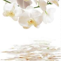 Штора для ванной 180 180см Орхидеи,без колец  Zalel