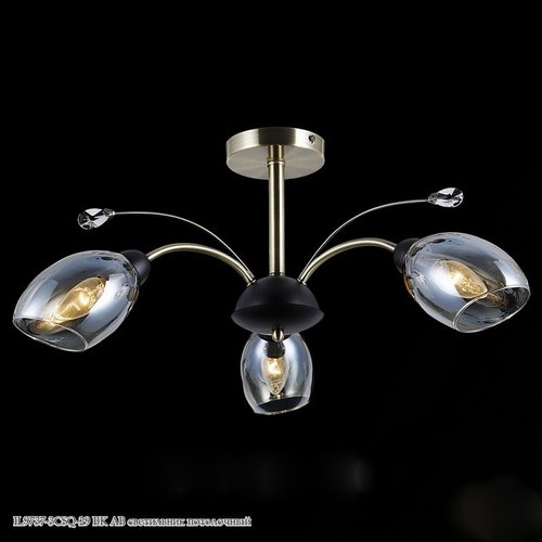 Светильник потолочный IL9737-3CSQ-29 BK AB