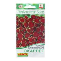 Колеус блюме Скарлет Ц П (Аэлита)