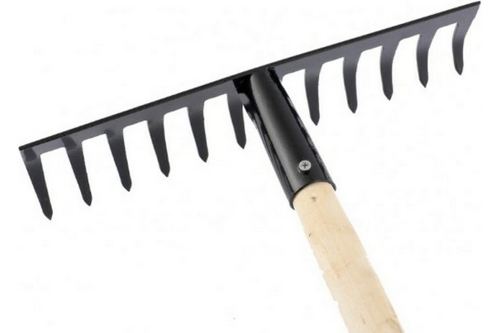 Грабли стальные, 300х1300 мм, 12 прямых зубьев, деревянный черенок   Сибртех