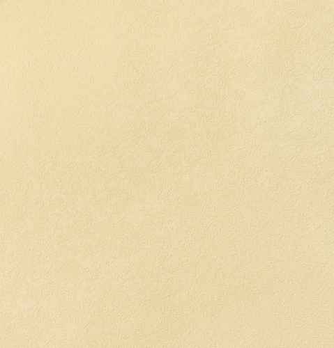 Обои ГТ на флизе E802400 Алиот фон 1,06 10м ELYSIUM