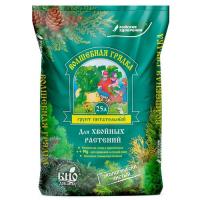 Бегония Фортуна F1 5 шт Дания Sakata (АТФ Агрос)