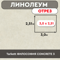 линолеум Tarkett ФИЛОСОФИЯ CONCRETE 3 ОТРЕЗ 3м 2,51м