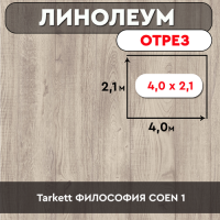 линолеум Tarkett ФИЛОСОФИЯ COEN 1 ОТРЕЗ 4м 2,1м