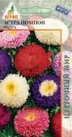 Астра Помпон Радуга 0,3 гр Нидерланды (АТФ Агрос)