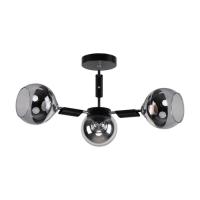 Светильник 40264 3BK CL