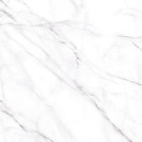 Керамогранит NEO CALACATTA GFU04NCL07R 600 600