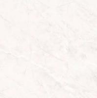 Керамогранит Primavera TP66M17 600*600 Пантир матовый Тянь-Шань
