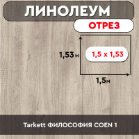 /линолеум Tarkett ФИЛОСОФИЯ COEN 1 ОТРЕЗ 1,5м*1,53м