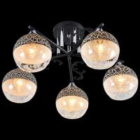 Люстра потолочная 01277-0.3-05B BK+CR