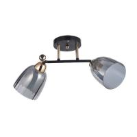Люстра потолочная 12229 2BK+FGD GR