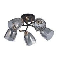 Люстра потолочная 12229 5BK+FGD GR