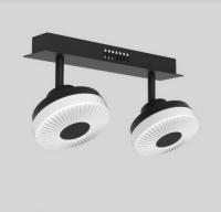 Люстра потолочная 054-L10-2 BK 000021545