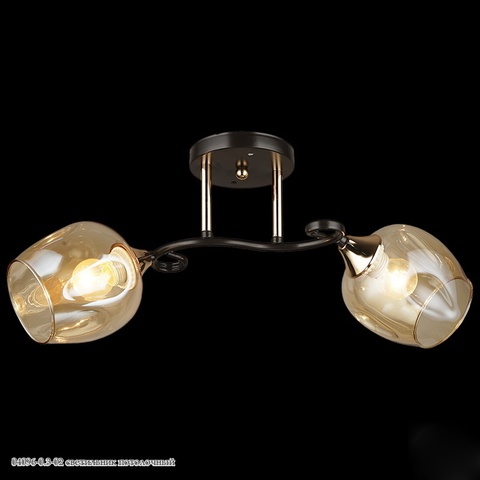 Светильник потолочный 04096-0.3-02