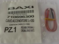 710696300 Кабель электрод розжига (Main 5)