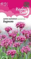 .Лихнис альпийский Бодрость 0,05 гр РОЗОВЫЕ СНЫ (Гавриш)