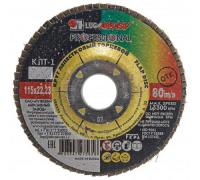 Круг лепестковый торцевой 115 22,2мм Р120   ЛУГА