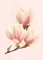 Декор Агата розовый 25 35