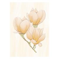 Декор КРЕМА бежевый 250 350 (снято)