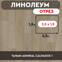 ,линолеум Tarkett ADMIRAL СOLVADOS 1 ОТРЕЗ  2,5м*1,9м