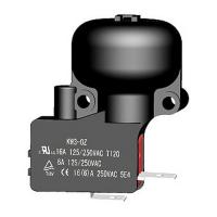 Выключатель безопастности KW3-OZ-K2 (21130206150)