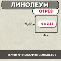 Tarkett ФИЛОСОФИЯ CONCRETE 3
