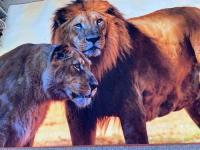 IMG_20260927_150406