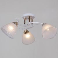 Люстра потолочная 64460-0.3-03 WH+FG