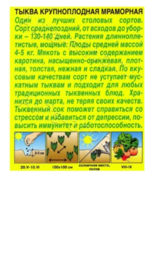 2026-08-28_12-50-30