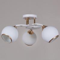 Люстра потолочная 06117-0.3-03 WH+FG