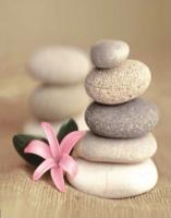 Штора для ванной 180 180см Камни и цветок,без колец  Zalel