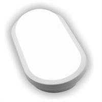 Светильник светодиодный герметичный LED OBL CW 20Вт ОВАЛ Белый LEEK