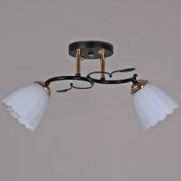 Светильник потолочный 10134-0.3-02 BK+FG