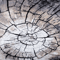 Ковер Белка ЛАЙЛА ДЕ ЛЮКС 15751_10744 STAN 1,4*1,9 м