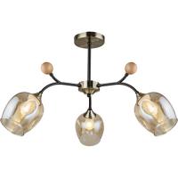 ,Люстра потолочная 02009-0.3-03 AB+BK