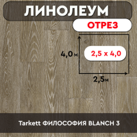 линолеум Tarkett ФИЛОСОФИЯ BLANCH 3  ОТРЕЗ 2,5м 4м