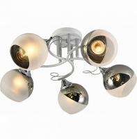 Люстра потолочная 01389-0.3-05 WH+CR