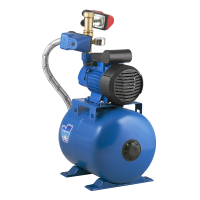 Насосная станция AUTO ADB-60 /ABS (Н) тюнинг АВТОАДБ60Н