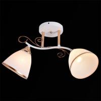 Люстра потолочная 01017-0.3-02 WH+FGD