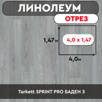 ,линолеум Tarkett SPRINT PRO БАДЕН 3 ОТРЕЗ 4м 1,47