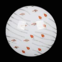 ,Светильник настенно-потолочный 2935/6